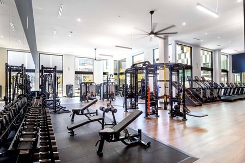 a gym with weights and cardio equipment and glass walls