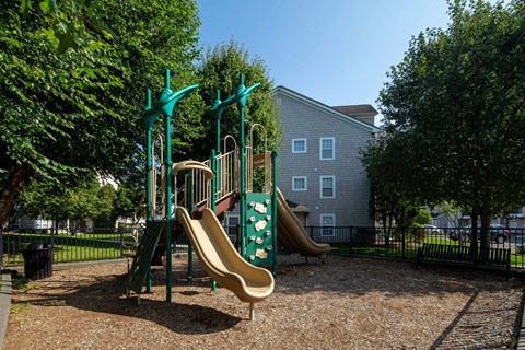 a playground with a jungle gym and slides