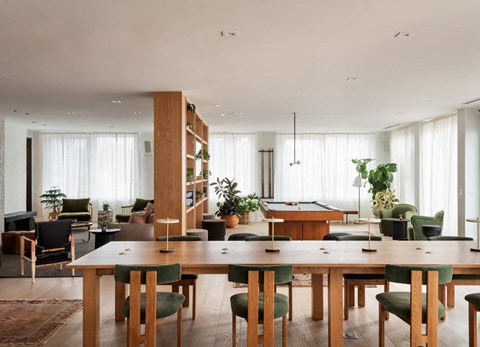 a living room with windows and plants in it
