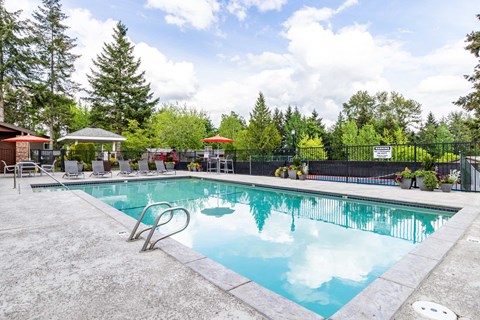 A swimming pool surrounded by trees and a fence.