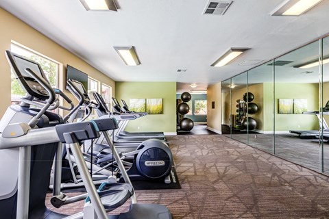 A gym with treadmills, exercise balls, and mirrors.