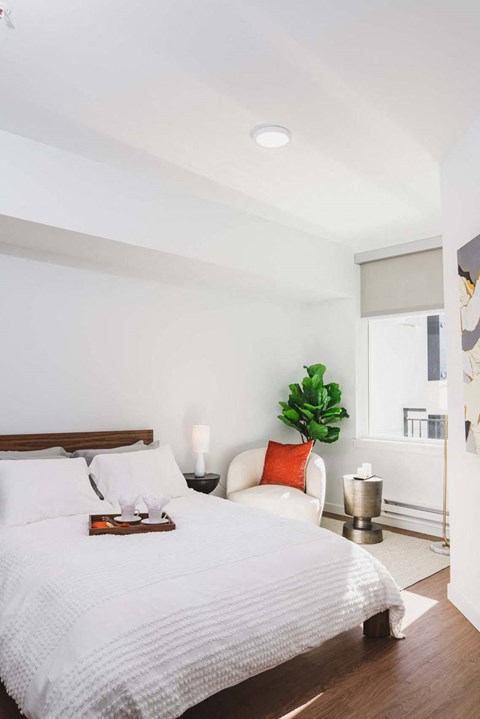 A bedroom with a bed, a chair, and a plant.