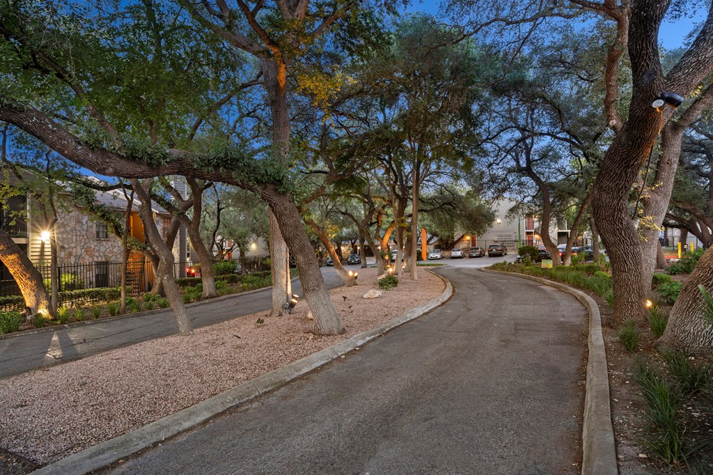 A tree-lined street at dusk with lights on.