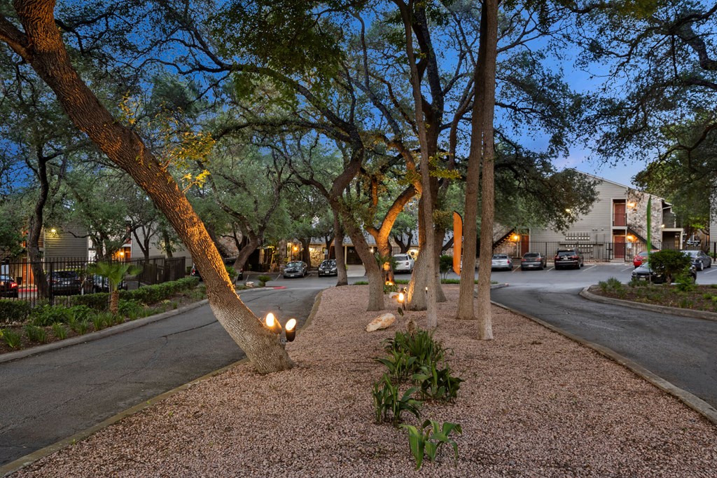 A tree-lined street with a path in the middle.