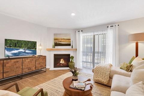 A living room with a fireplace and a television.