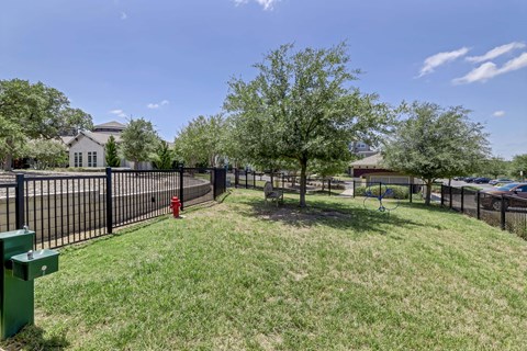 A park with a green tree, a bench and a fire hydrant.