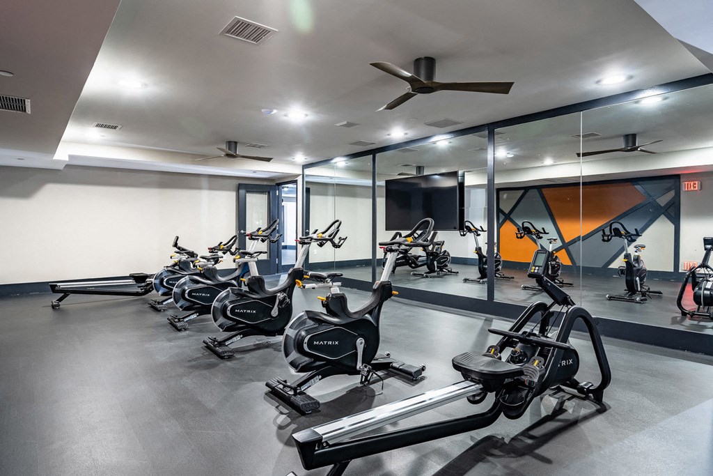 A gym with a row of stationary bikes.