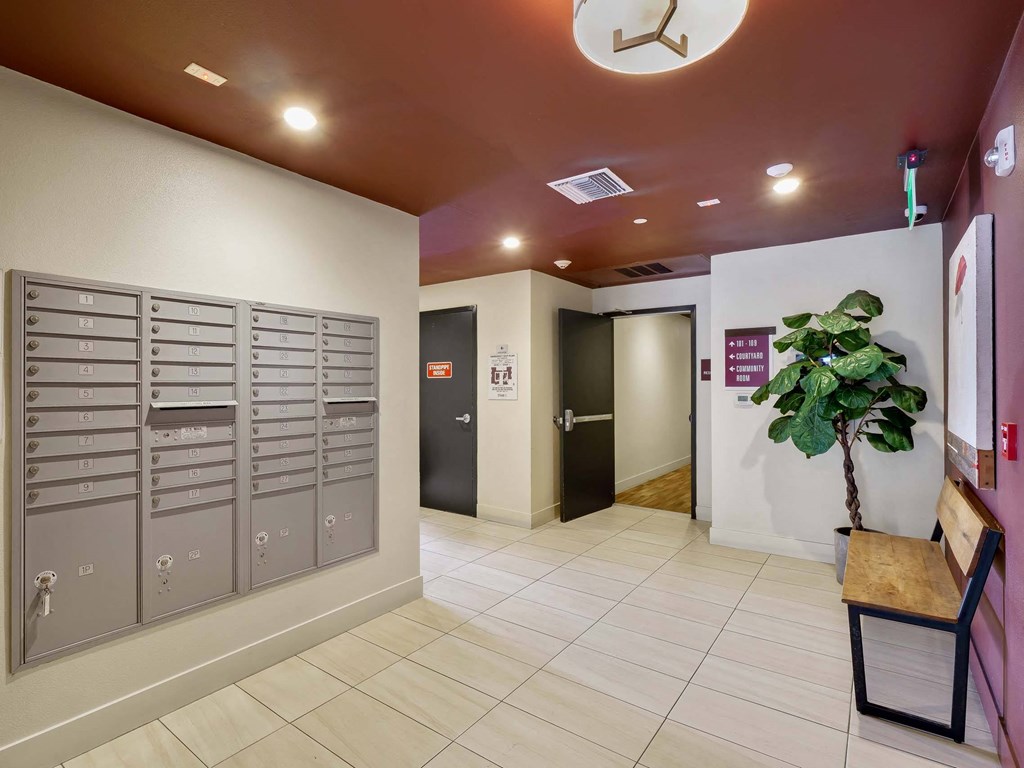 A room with a bench, a tree, and a wall of lockers.