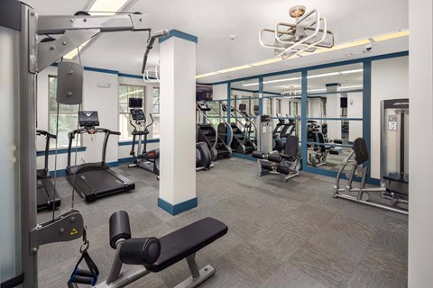 A gym with a variety of equipment including treadmills, weights, and benches.