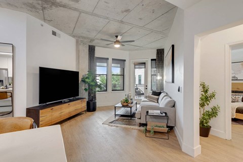 A living room with a television, couch, and plants.