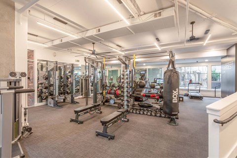 A gym with a variety of equipment including a squat rack, bench, and weights.