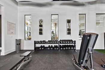 A gym with a row of dumbbells and a bench.
