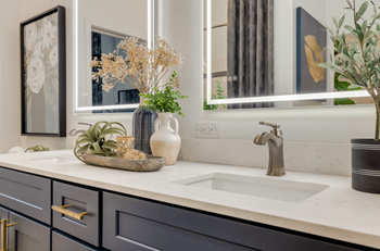 A bathroom with a sink, mirror, and a potted plant.