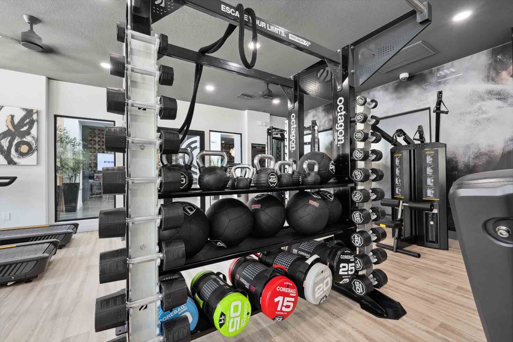 A gym with a variety of equipment including weights and a treadmill.