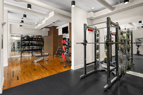 A gym with a variety of equipment including a squat rack, bench press, and a barbell.
