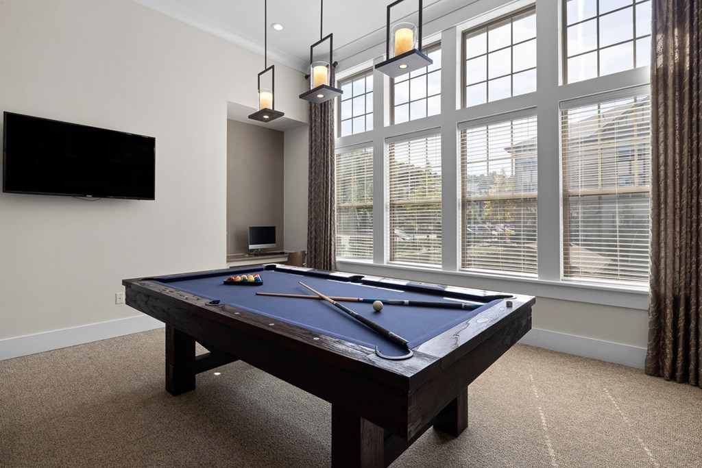 A pool table in a room with a television and a window.
