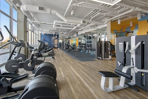 A gym with treadmills, elliptical machines, and weights.