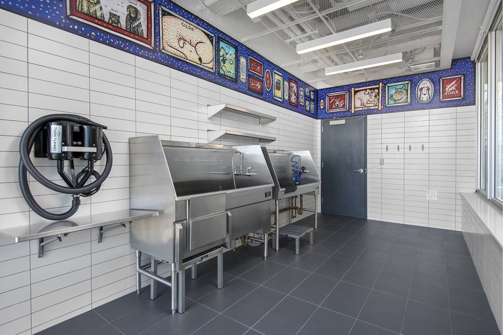 A kitchen with a wall of pictures and a large stainless steel sink.