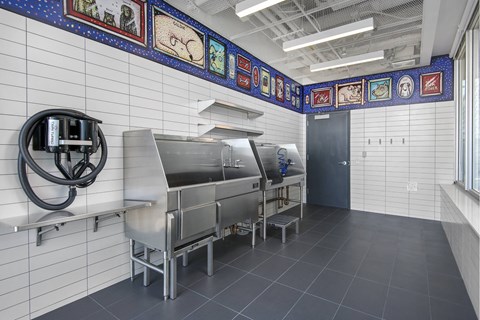 A kitchen with a wall of pictures and a large stainless steel sink.