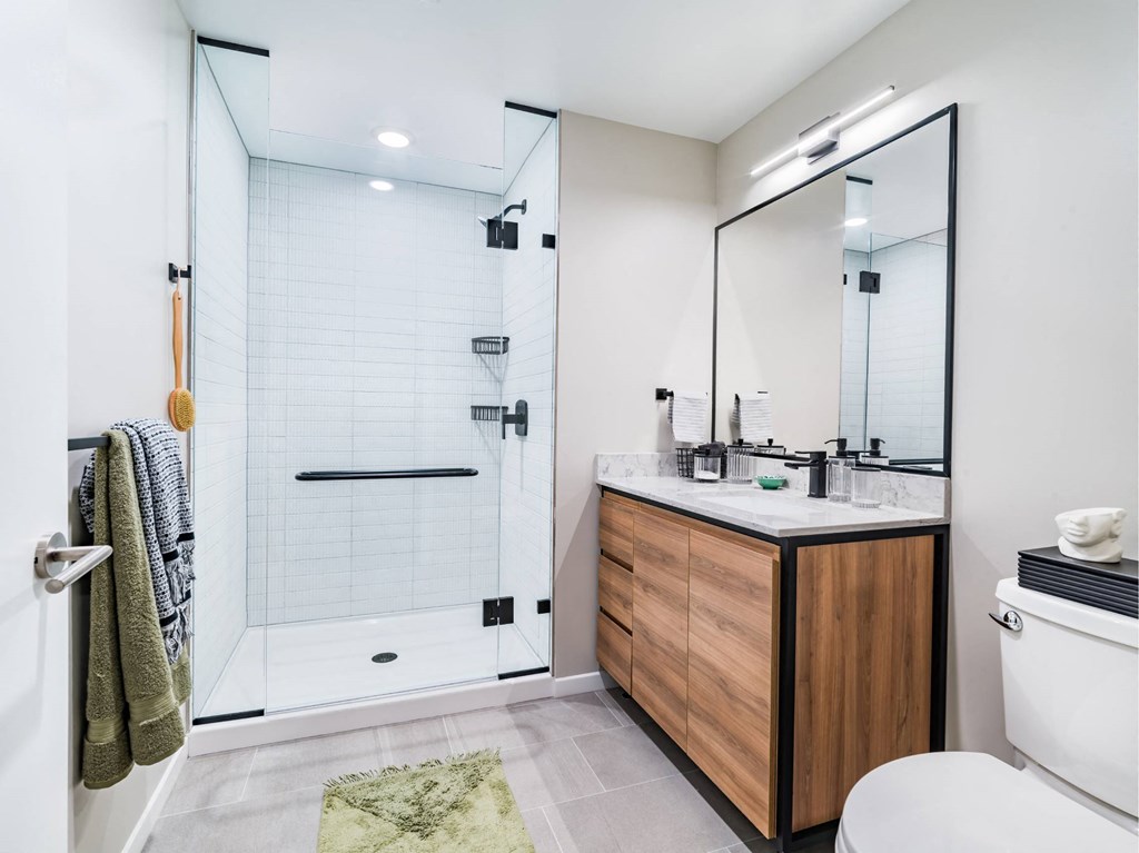 A bathroom with a walk-in shower, a toilet, a sink, and a mirror.