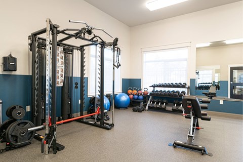 A gym with a variety of equipment including a squat rack, bench press, and a mirror.