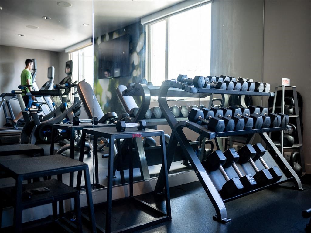 A gym with a variety of equipment including treadmills, weights, and benches.