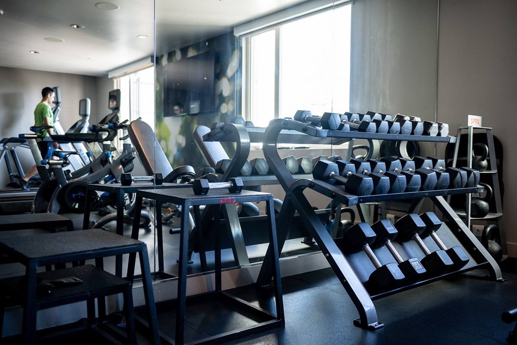 A gym with a variety of equipment including treadmills, weights, and exercise machines.