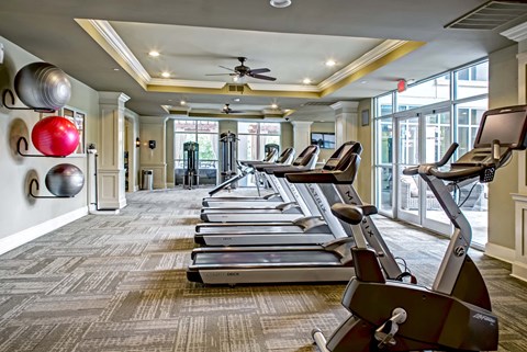 A gym with treadmills and exercise balls on the wall.