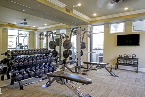 A well-equipped gym with a variety of exercise equipment.