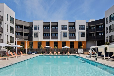 Sparkling Pool
