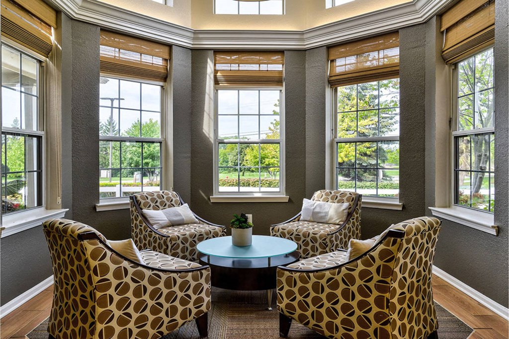 Four leopard print chairs are arranged around a coffee table in a sunny room.