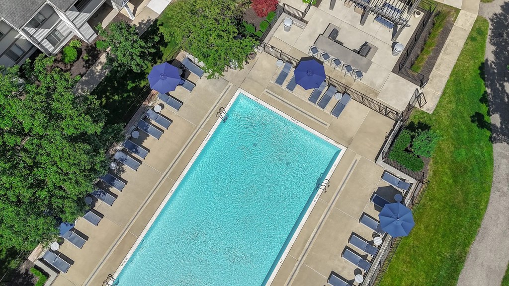An aerial view of a swimming pool surrounded by lounge chairs and umbrellas.