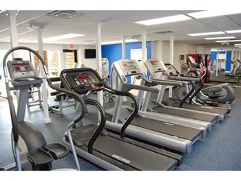 A row of treadmills in a gym.