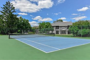A tennis court surrounded by a fence and trees.