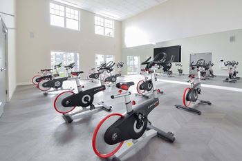 A row of stationary bikes are lined up in a brightly lit room.