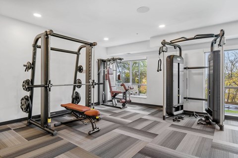 A gym with a squat rack, a bench, and a rowing machine.