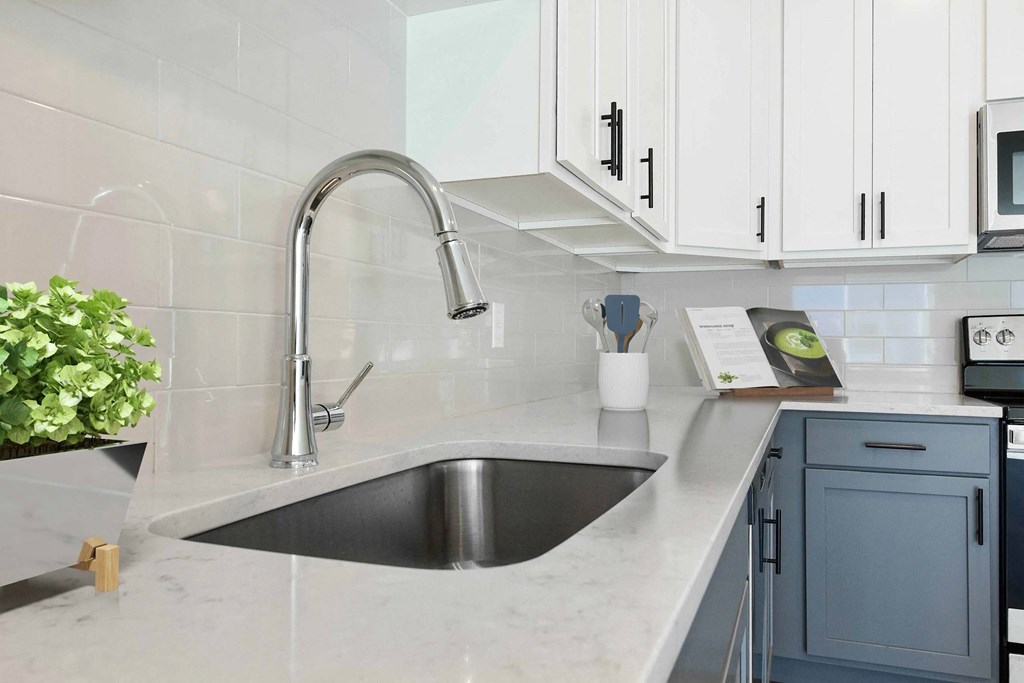 A kitchen with a sink and a plant.