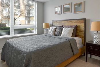 Window Coverings