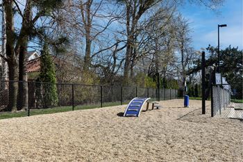 Dog Park