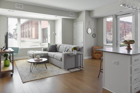 A modern living room with a grey couch and a white coffee table.