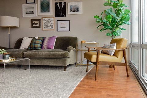 A living room with a grey couch, a yellow chair and a green plant.