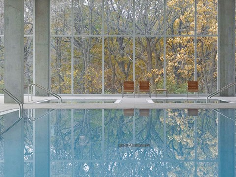 A glass wall with a view of trees and a pool with chairs.