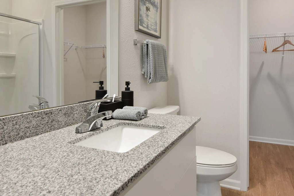 A bathroom with a sink, toilet, and a mirror.