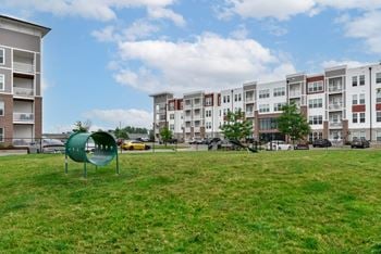 Open space dog park at The View on Collins pet friendly apartments in Lansing, MI