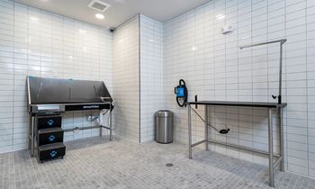 A bathroom with a sink, mirror, and trash can.