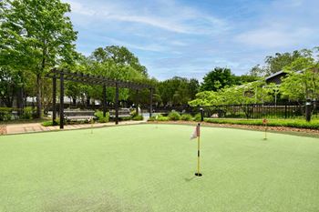 A putting green with a flag on it.