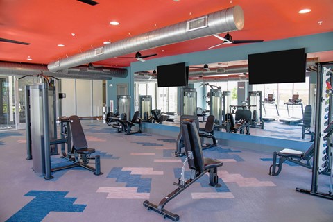 A gym with a variety of equipment including weights and machines.