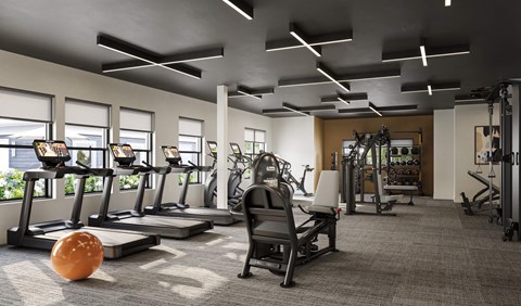 A gym with a variety of equipment including treadmills, weights, and exercise machines.