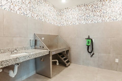 A bathroom with a sink and a mirror.