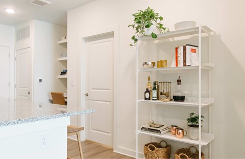 A white kitchen with a shelf and a plant on it.